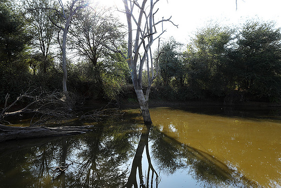 Dam lake Malilangwe
