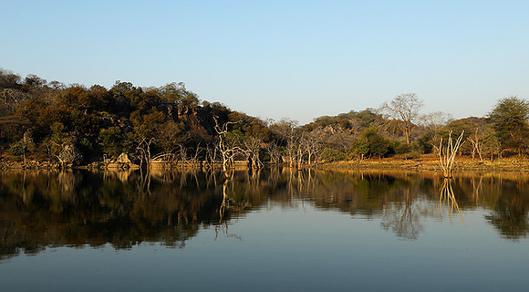 Dam lake Malilangwe