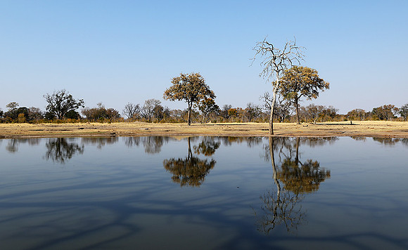 Hwange National park