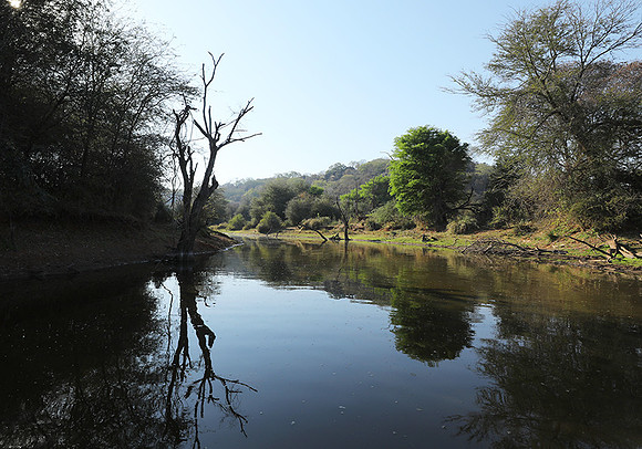 Dam lake Malilangwe