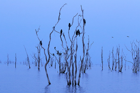 Lake Kariba - Matusadona NP