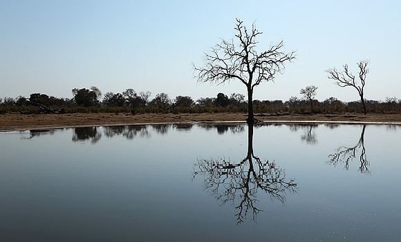 Hwange National Park