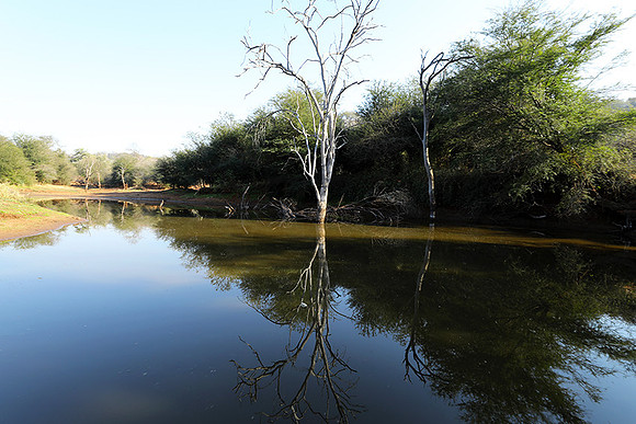 Dam lake Malilangwe