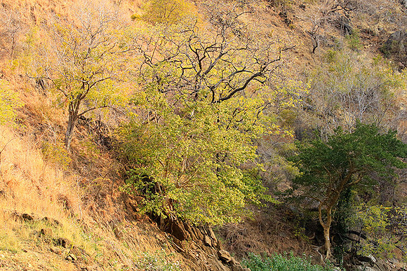Gorge Sanyati - Matusadona NP