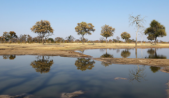Hwange National Park