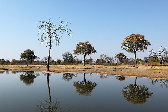 Hwange National park
