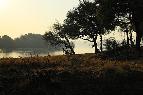 Matetsi game reserve