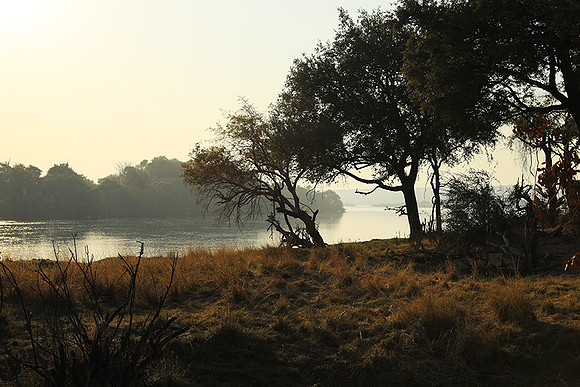 Matetsi game reserve