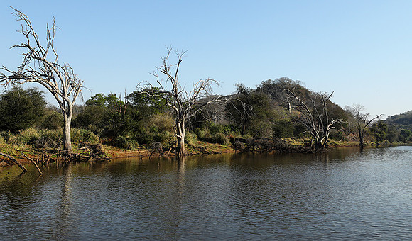 Dam lake Malilangwe
