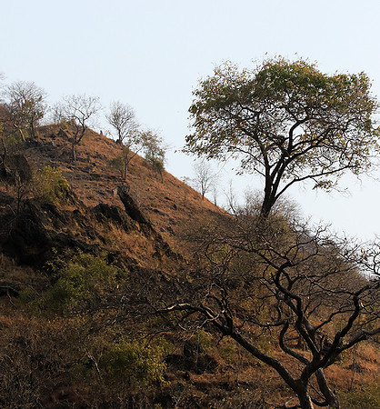 Gorge Sanyati - Matusadona NP