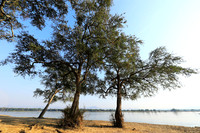 Tembo Plains