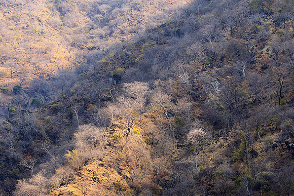 Gorge Sanyati - Matusadona NP