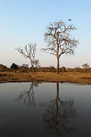 Hwange National Park