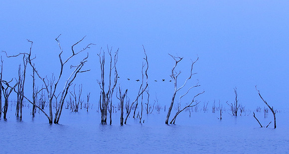 Lake Kariba - Matusadona NP