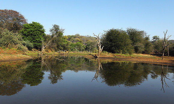 Dam lake Malilangwe
