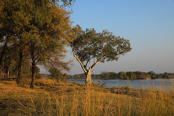 Matetsi game reserve
