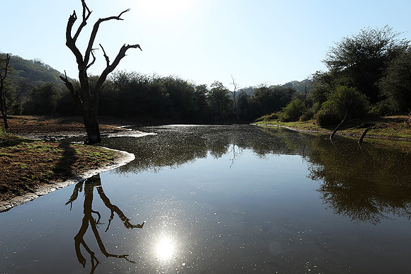 Dam Malilangwe lake