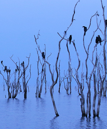 Lake Kariba - Matusadona NP