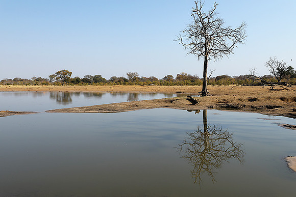 Hwange National Park