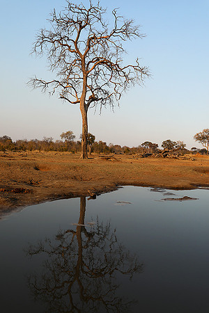 Hwange National Park