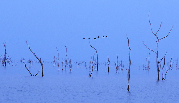 Lake Kariba - Matusadona NP