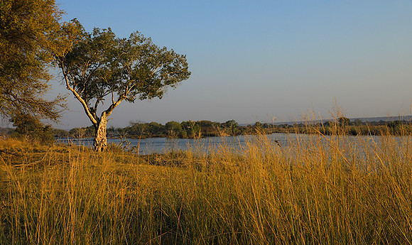 Matetsi game reserve