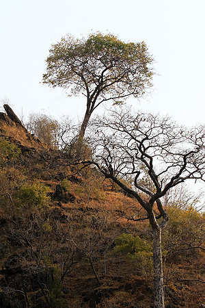Gorge Sanyati - Matusadona NP