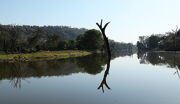 Dam lake Malilangwe