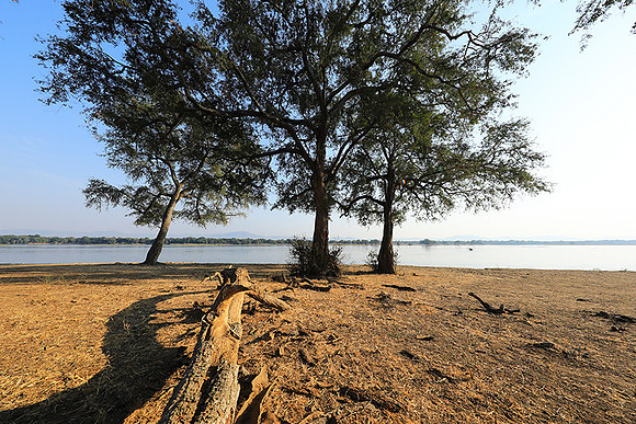 Tembo Plains