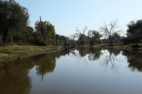 Dam lake Malilangwe