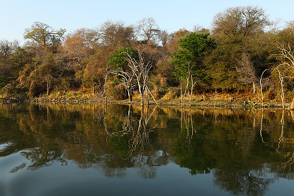 Dam lake Malilangwe