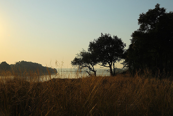 Matetsi game reserve