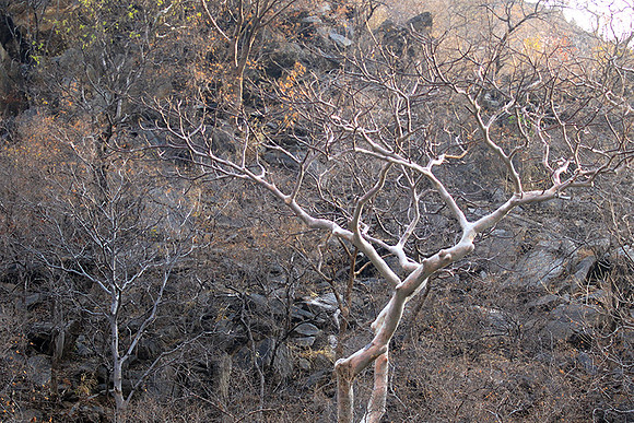 Gorge Sanyati - Matusadona NP