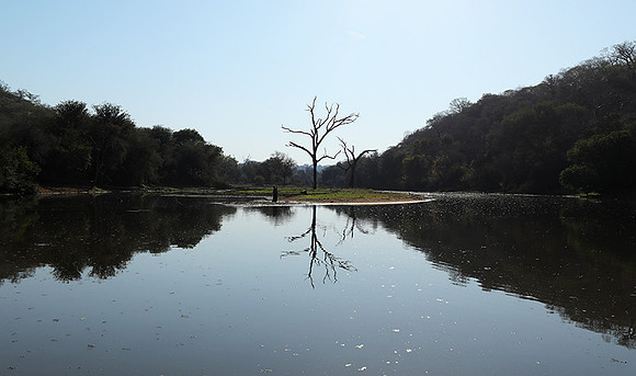 Dam lake Malilangwe