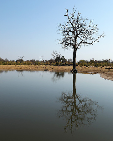 Hwange National Park