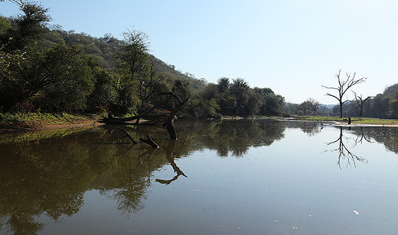 Dam Malilangwe lake