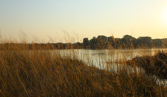 Matetsi game reserve
