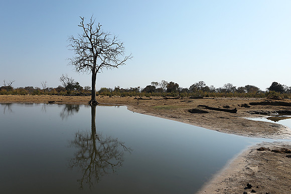 Hwange National Park