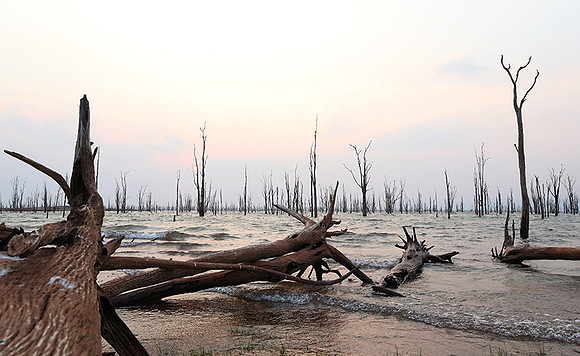 Lake Kariba - Matusadona NP