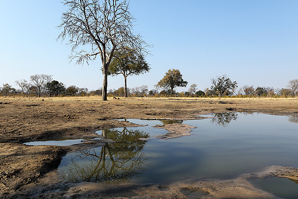 Hwange National Park