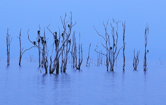 Lake Kariba - Matusadona NP
