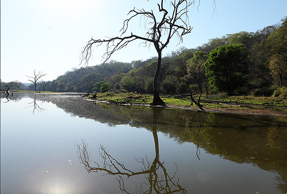 Dam lake Malilangwe
