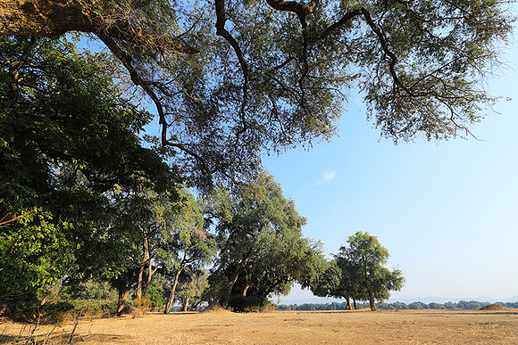 Tembo Plains