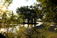 South Luangwa