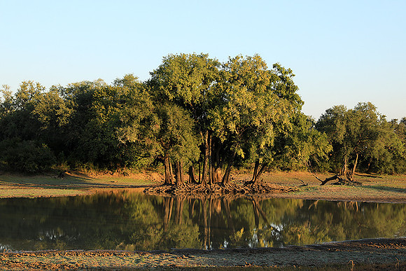 South Luangwa