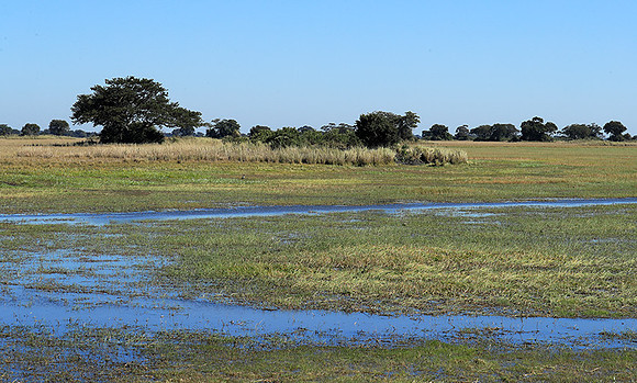Landscape in Kafue NP