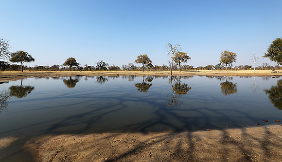 Hwange National park