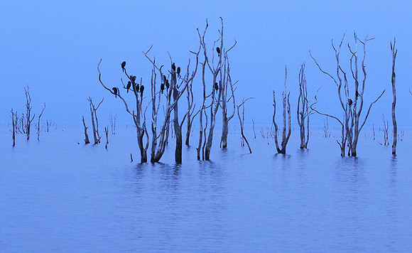 Lake Kariba - Matusadona NP