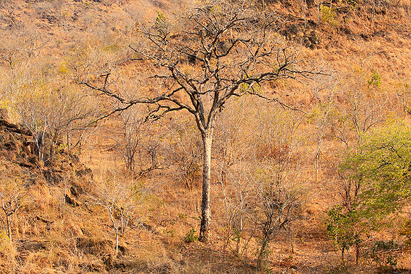 Gorge Sanyati - Matusadona NP