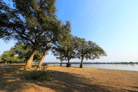 Tembo Plains